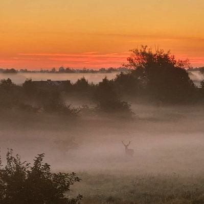 Pewnym swojej wiedzy jest się tylko wtedy, kiedy się wie mało; razem z wiedzą rosną wątpliwości.
Johann Wolfgang von Goethe