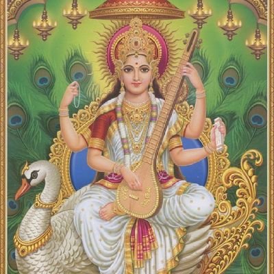 Niranja22839784's profile picture. 