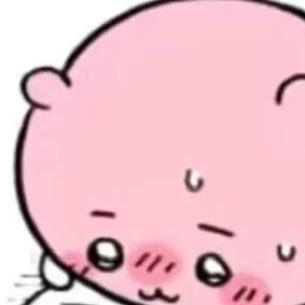 小熊艾卡🐻さんのプロフィール画像