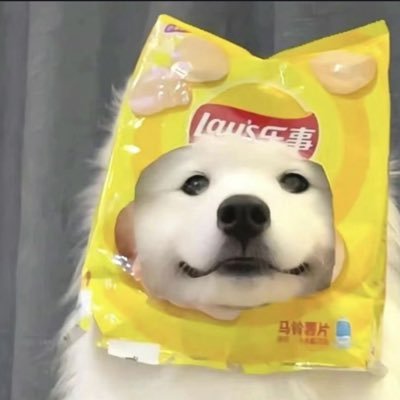 lorj08969790's profile picture. mel 🌈 unimelb🐻 18yr