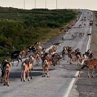 Deohgee3's profile picture. Unwilling to coddle minds and contribute to a world of safetyism.