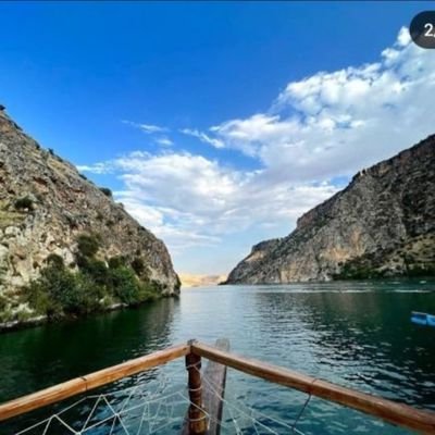 ayseenurcoskuun's profile picture. 