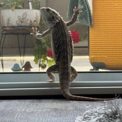 joeyyy_20's profile picture. 