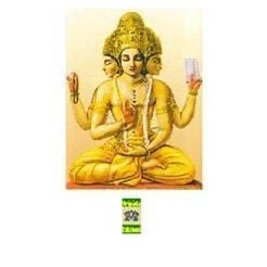 carlosC25256742's profile picture. 