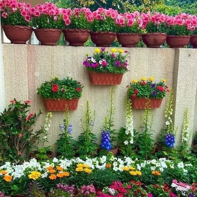 ghafori3's profile picture. doctor