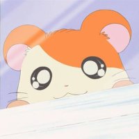 は む (@narutar0__) 's Twitter Profile