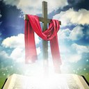 Vicki Gallo - @VicGalCalif - Twitter