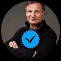 Liam Neeson (@liamnn96) 's Twitter Profile