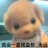 B0rnTh1sW4y_320's profile image