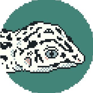 ぱぢさんのプロフィール画像