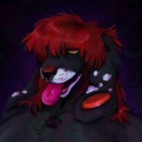 🐾 Finn 🐾 (@freaky_fennec) 's Twitter Profile