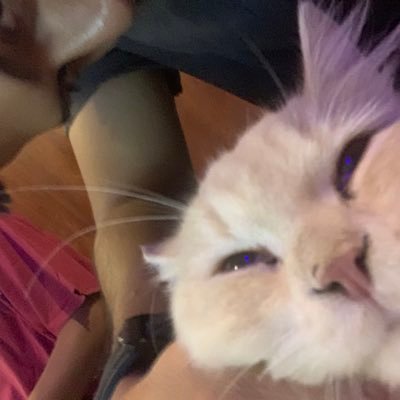 w4nn4kissurneck's profile picture. les yeux sans visage. 🇵🇸 https://t.co/2fCGw4mzHS