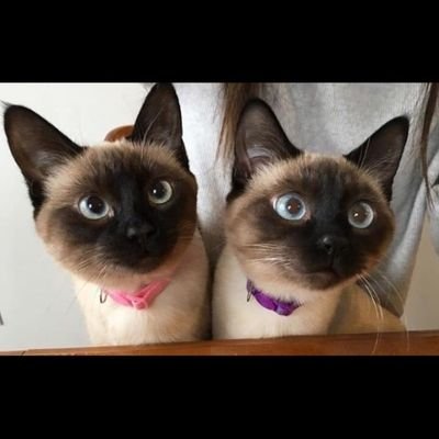 BORAbengi01's profile picture. E.ASSUBAY