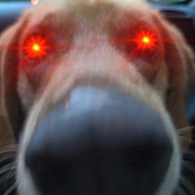 DTantalide63535's profile picture. 