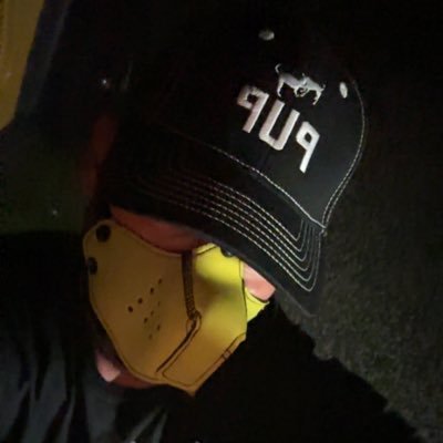 hung401pup's profile picture. just bi hung bro looking for other puppy’s with @maverick2099611