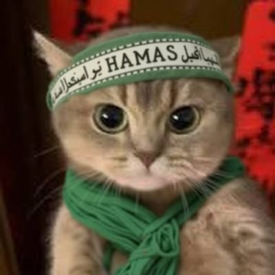 able ❤️‍🔥🌺 من البحر إلى النهر (hiatus) Profile