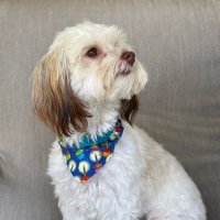 JayB (@jaybeeb2024) 's Twitter Profile
