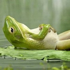 braun3102's profile picture. 