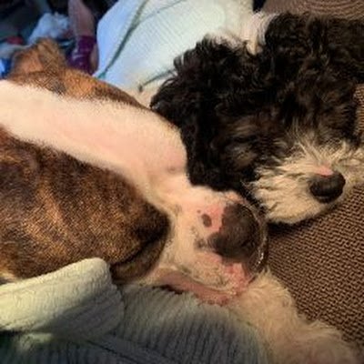 KathyMarti4474's profile picture. 