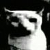 karolina (@kafkaenjoyer__) Twitter profile photo karolina (@kafkaenjoyer__) Twitter profile photo