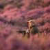 Ben Andrew (@benandrewphotos) Twitter profile photo Ben Andrew (@benandrewphotos) Twitter profile photo