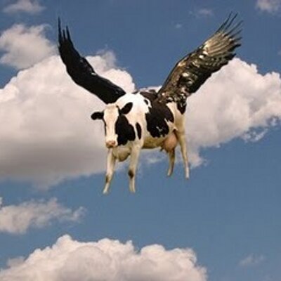 Vaca_volando_x