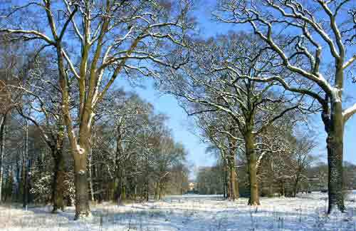 huysterschelde's profile picture. 