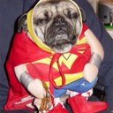 carrie lu - @carrie_lu - Twitter