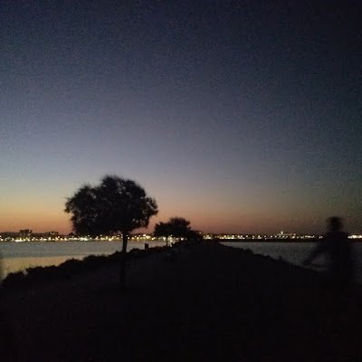 BelizonLyu42800's profile picture. 