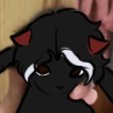 This is a mess 🇵🇸さんのプロフィール画像