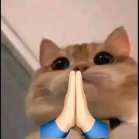b (@faxprinterr) 's Twitter Profile