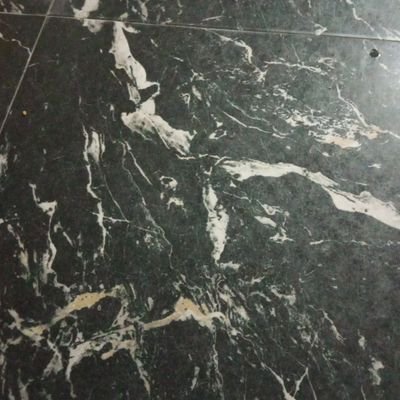 Zeeriah1's profile picture. self love💕💕💕💕