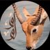 🦌🦌lulu💛 (@lulumohmaed) Twitter profile photo 🦌🦌lulu💛 (@lulumohmaed) Twitter profile photo