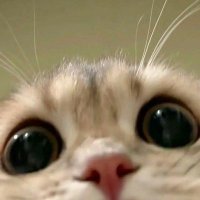 ✨ (@nursimaaay) 's Twitter Profile