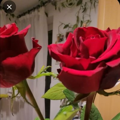 Zeni67393849's profile picture. እትዮያዊ ነኝ !