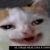 miceeater 😺 🇺🇦 (@s1081559) Twitter profile photo miceeater 😺 🇺🇦 (@s1081559) Twitter profile photo