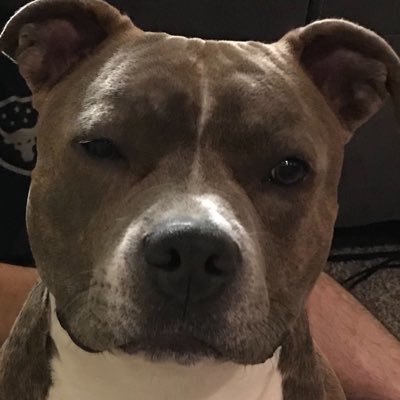 Dempsey87829889's profile picture. 