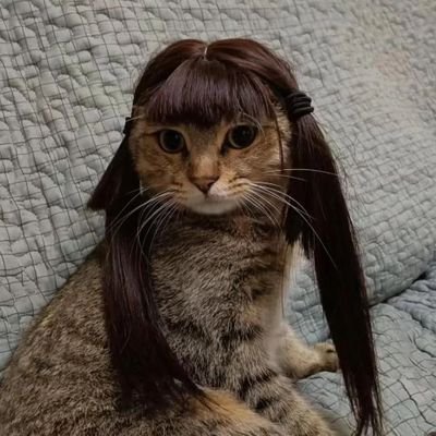 ⭒さんのプロフィール画像