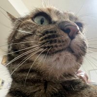 つうよお (@ece_243) 's Twitter Profile