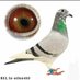 Chakib Chahboune (@chahbounec58780) Twitter profile photo Chakib Chahboune (@chahbounec58780) Twitter profile photo