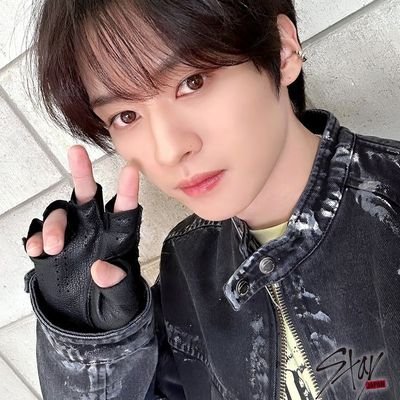 vivendo apenas pelo skz e o meu gato.