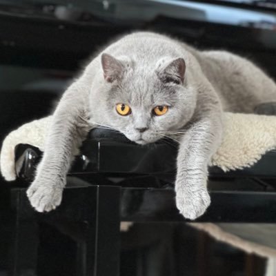 angryexpat's profile picture. I’m unconventional like everybody else