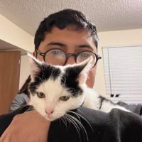 Fairy (@ihatefairy) 's Twitter Profile