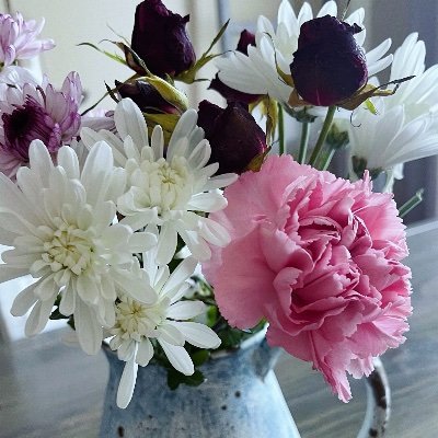 angela_kaupe's profile picture. 