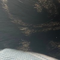 α (@btmboypas) 's Twitter Profile