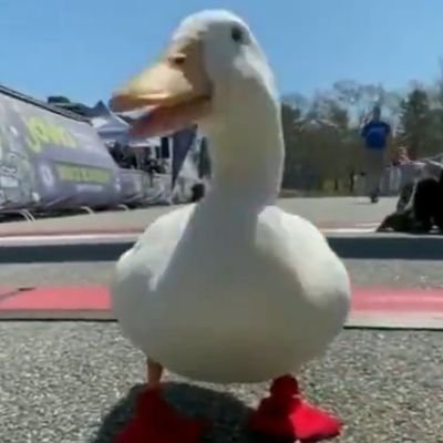 Humorzone24's profile picture. memer