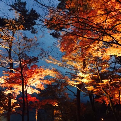 0240motocross's profile picture. PS4でゲームしてます！❤️‍🔥