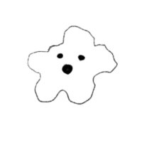 ハミチョミ (@hamicyomi) 's Twitter Profile Photo ハミチョミ (@hamicyomi) 's Twitter Profile Photo