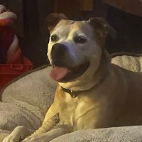 Erik Gee (@kqsmpd) 's Twitter Profile