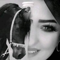 قبول محمد (@sslyman66075) Twitter profile photo